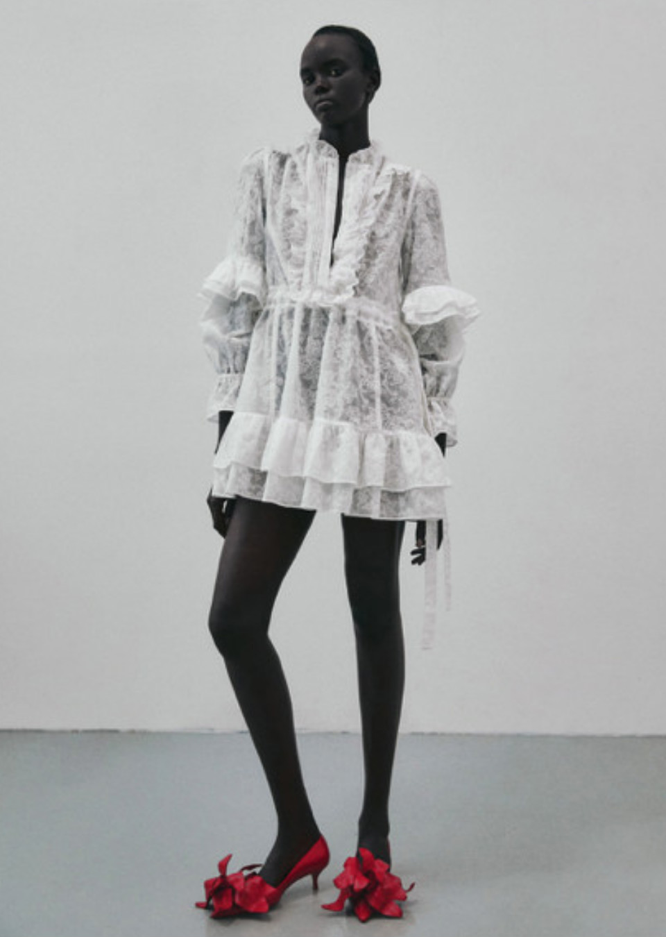 Model Image