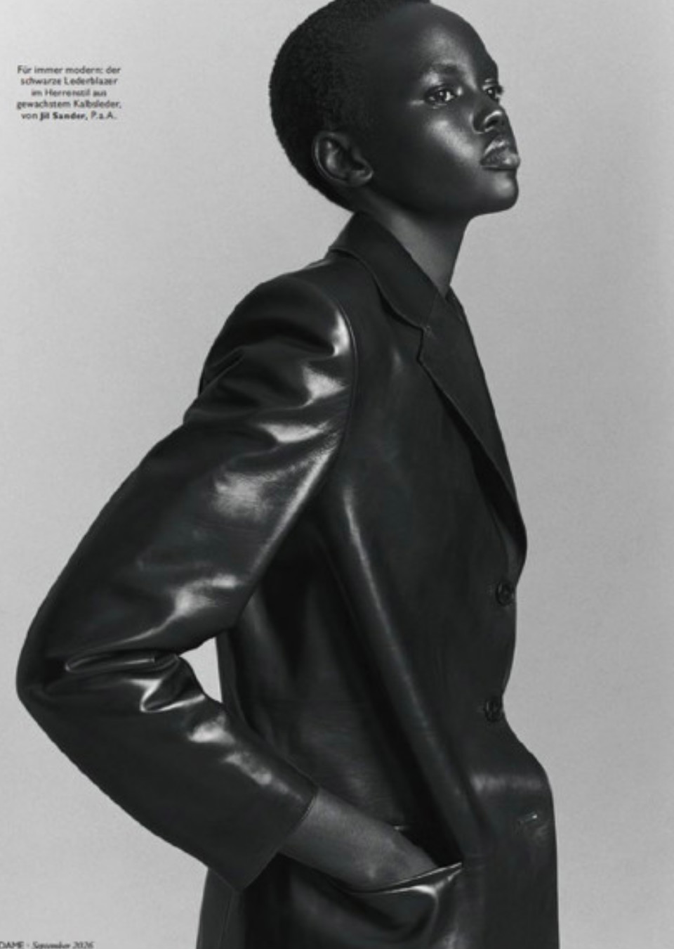 Model Image