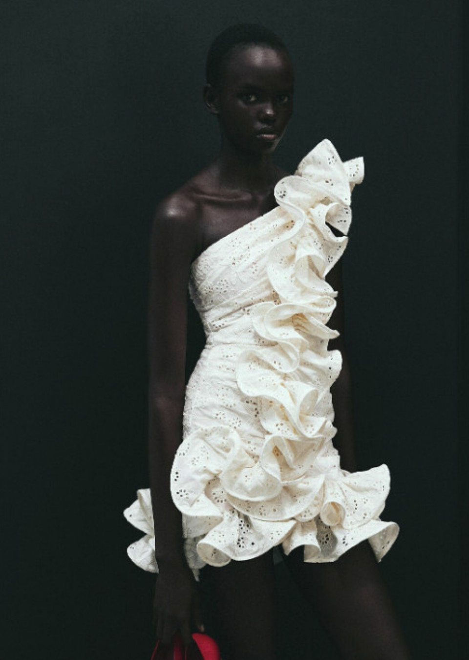 Model Image