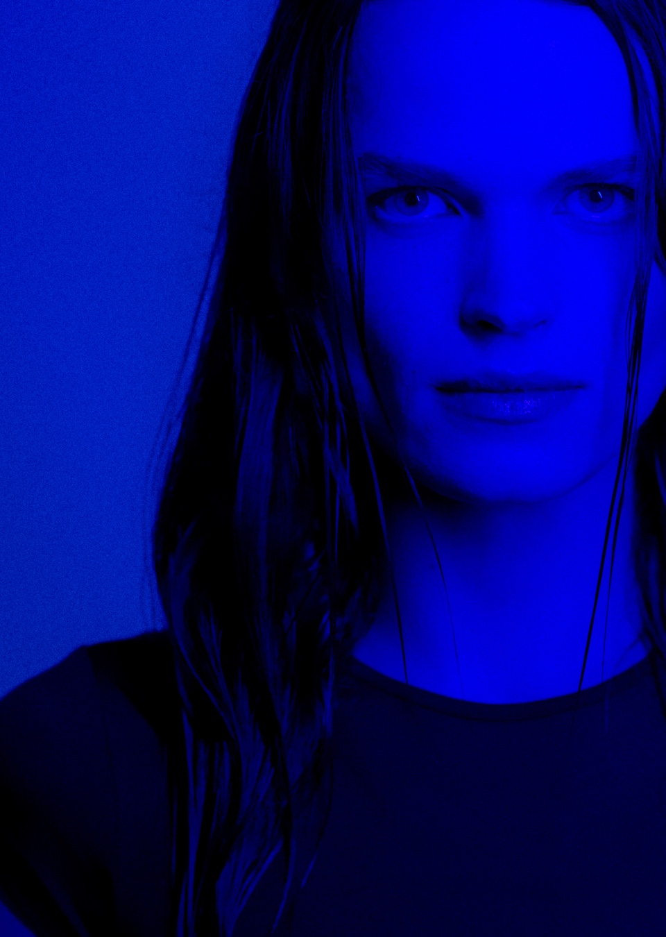 Model Image