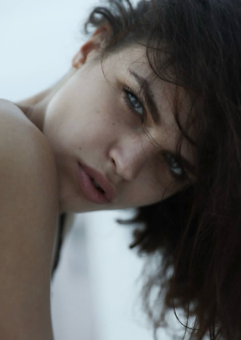 Model Image