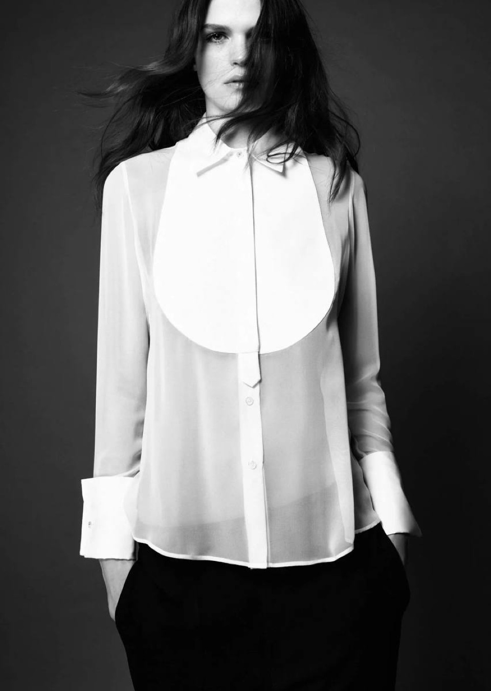 Model Image
