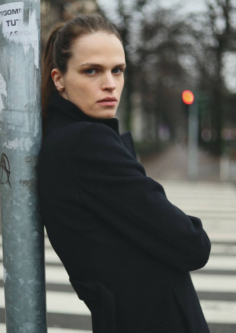 Model Image