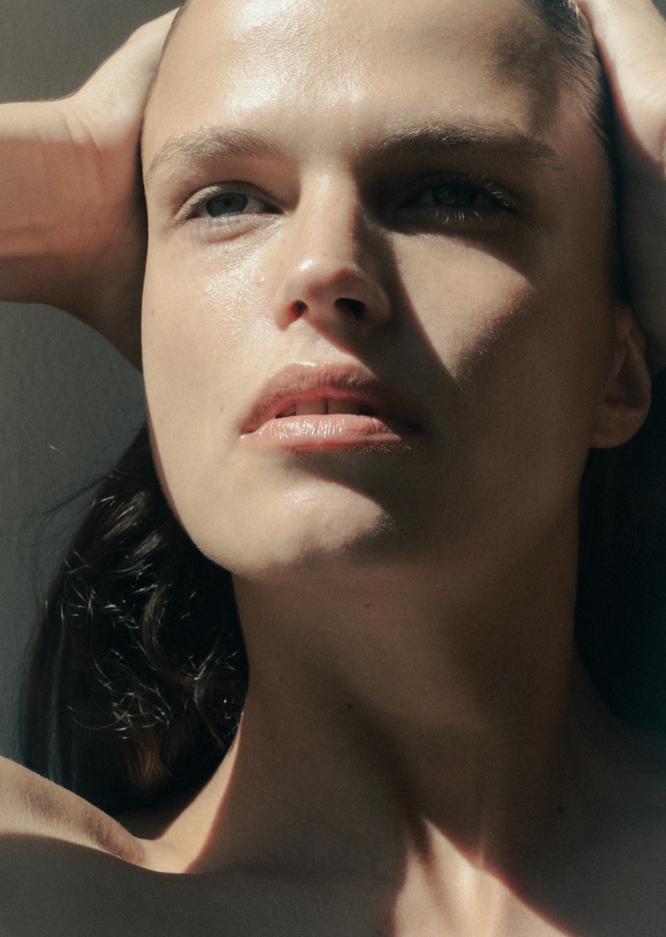 Model Image