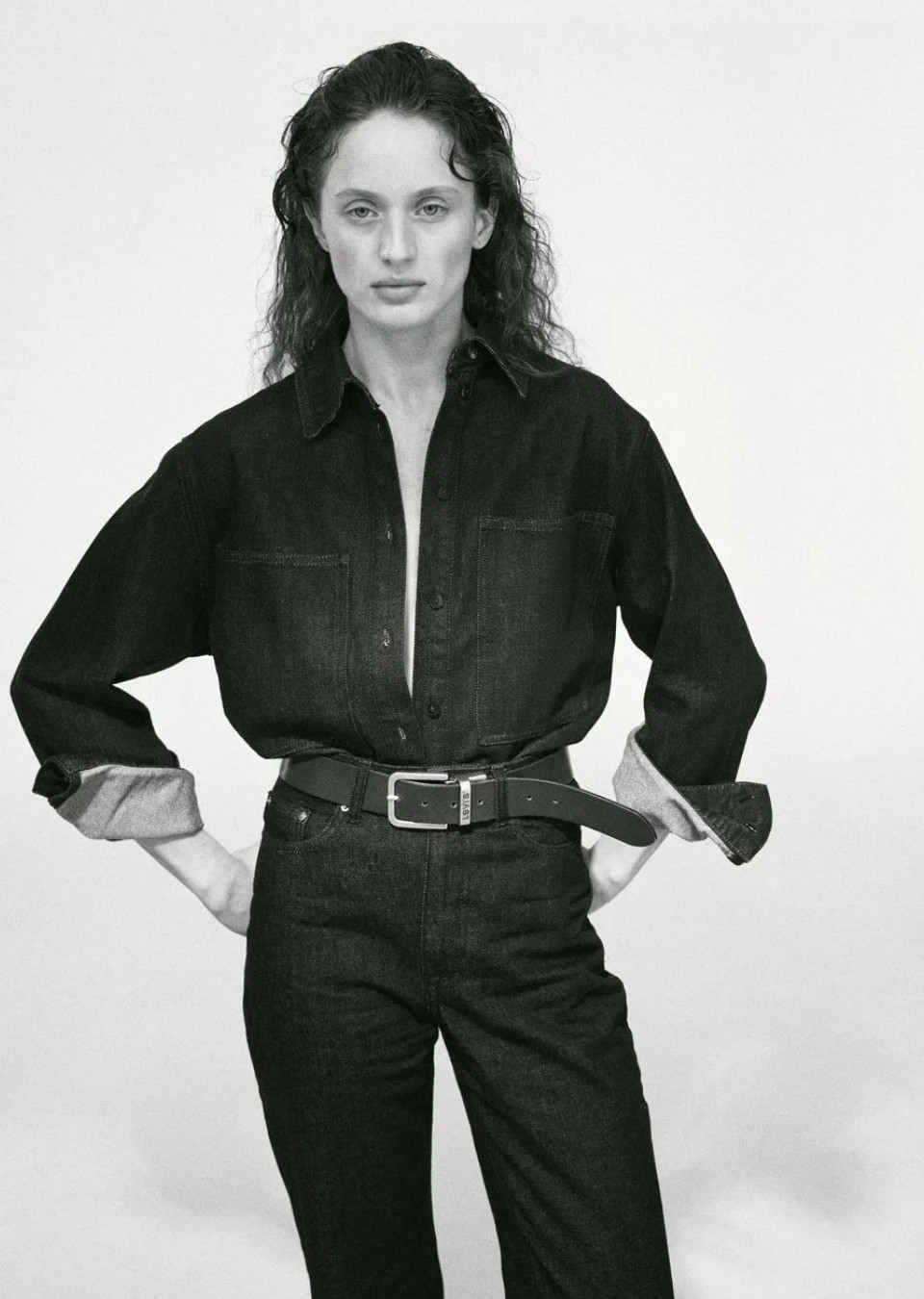 Model Image