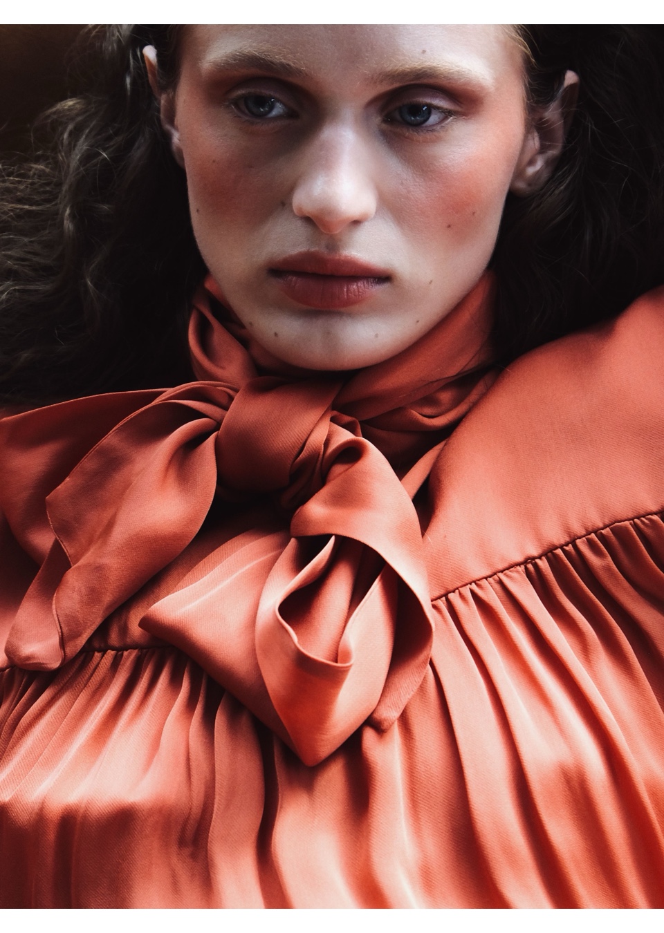 Model Image