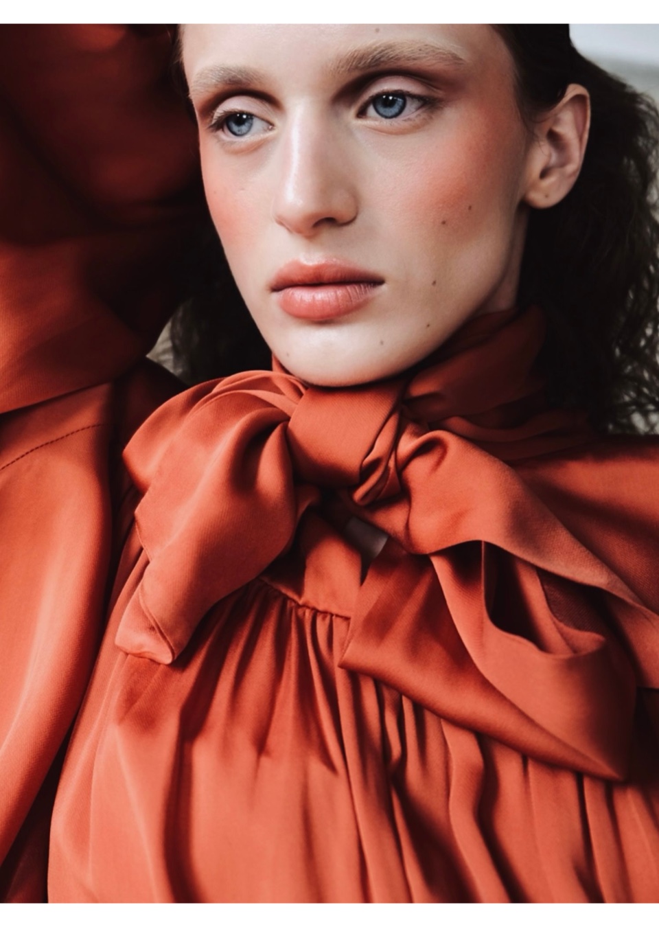 Model Image