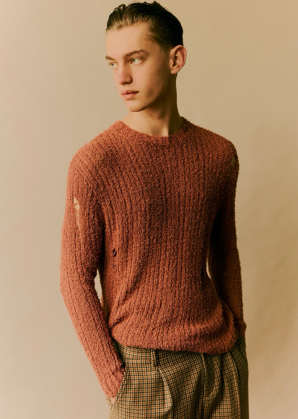 Model Image