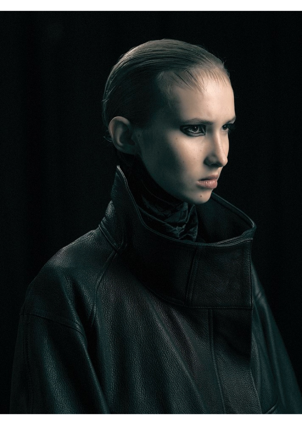 Model Image