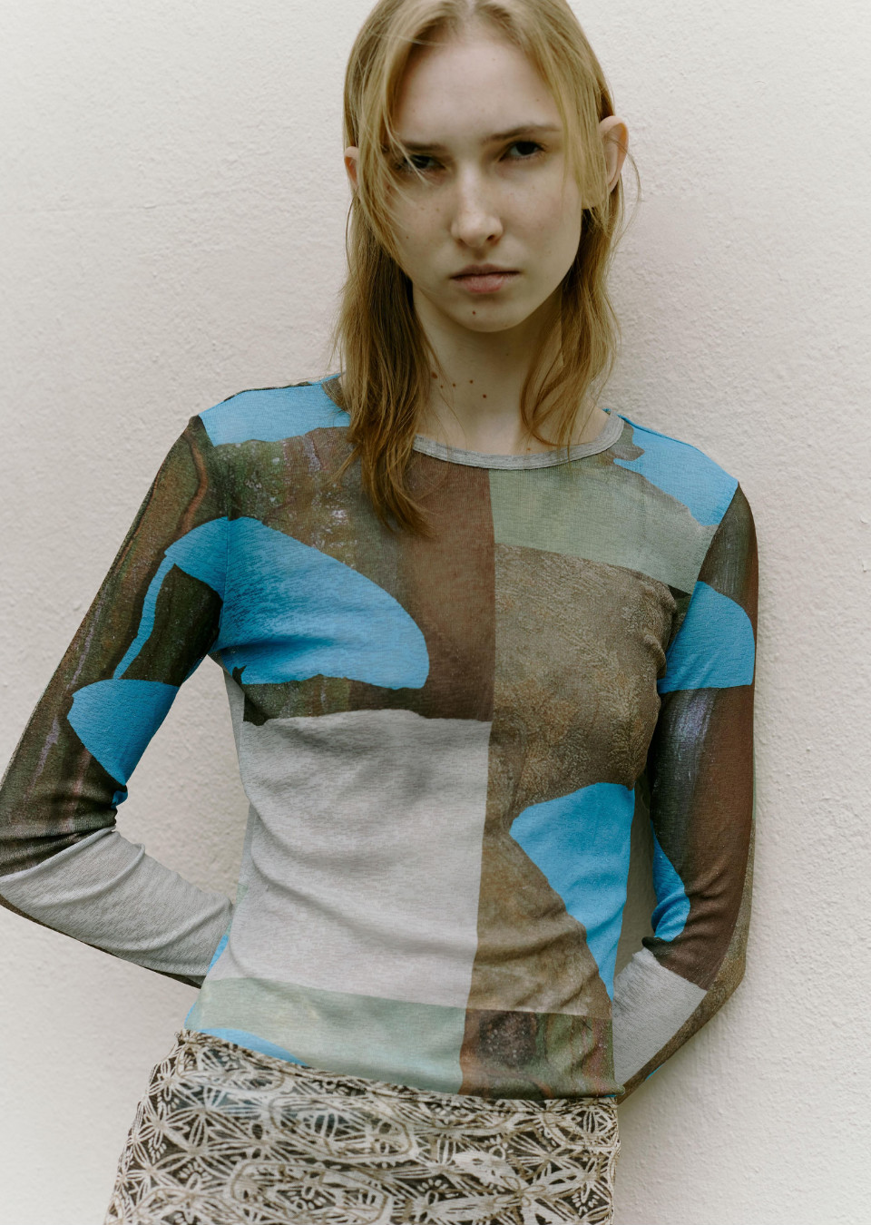 Model Image
