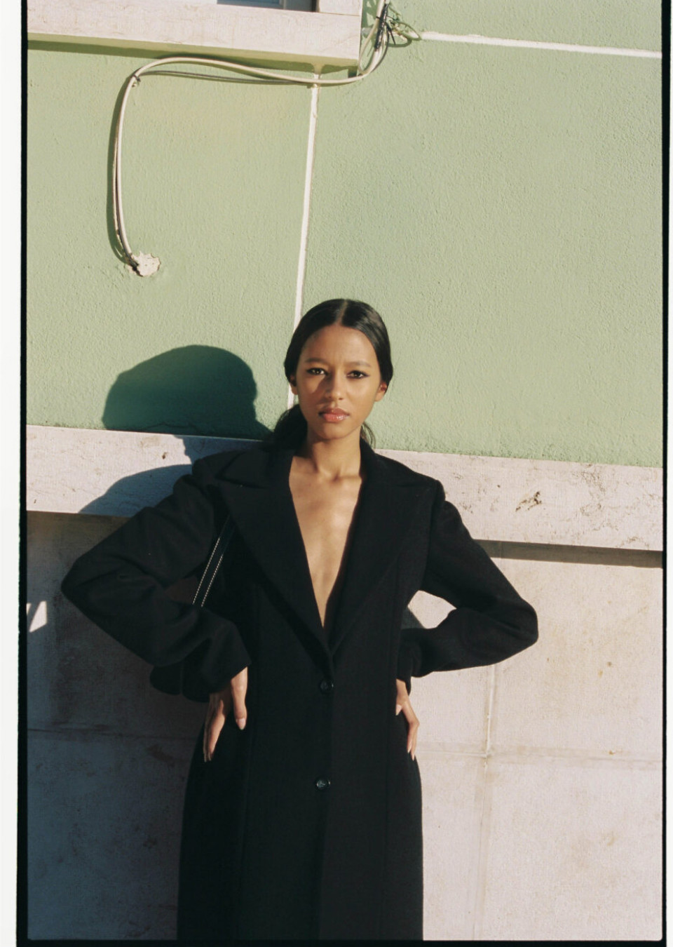 Model Image