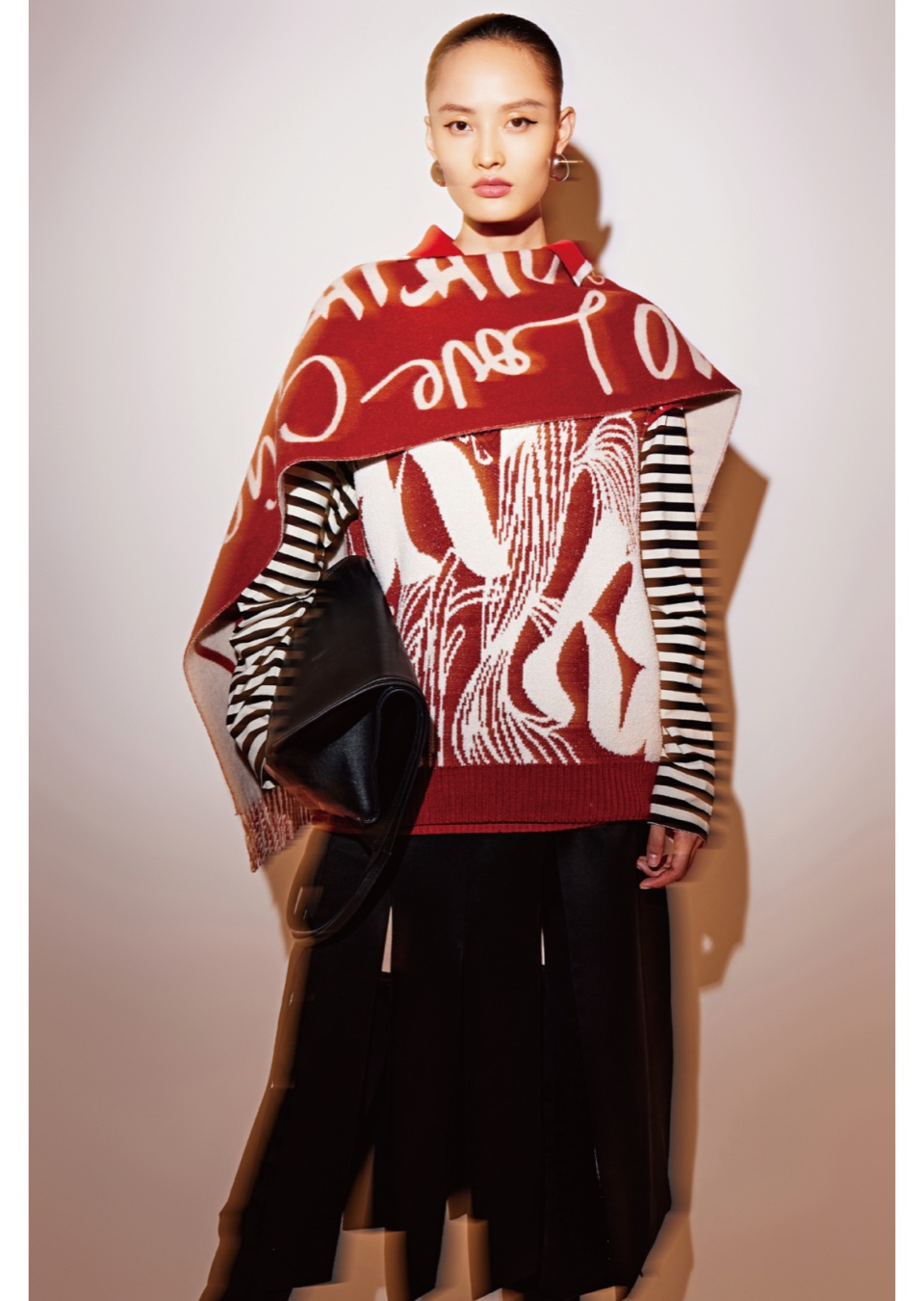 Model Image