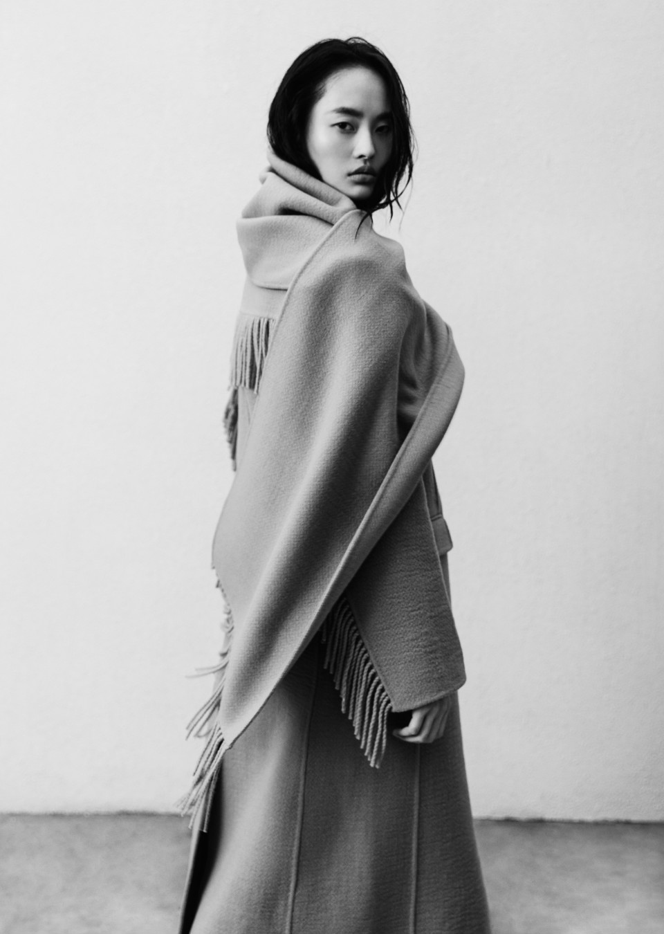 Model Image