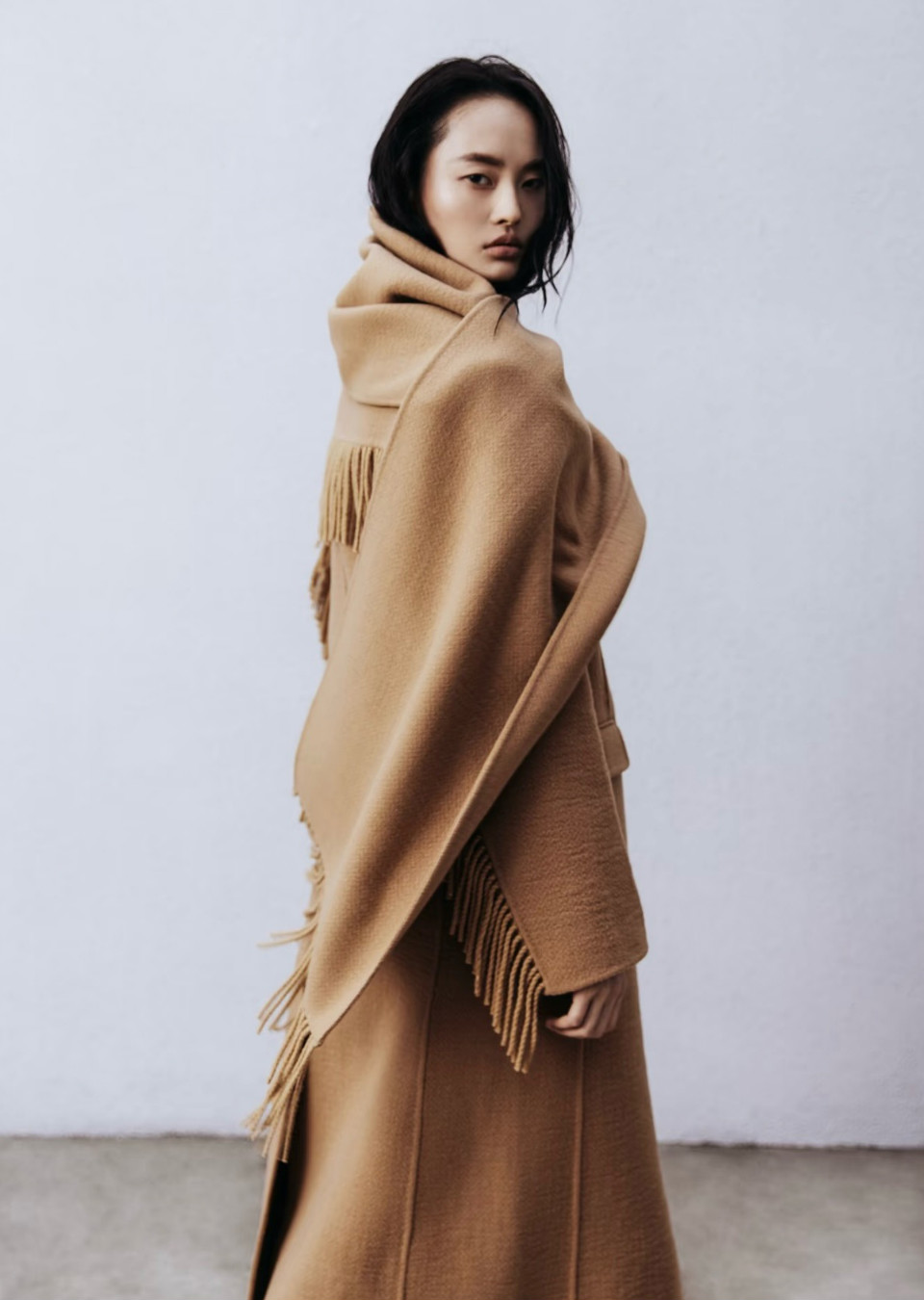 Model Image