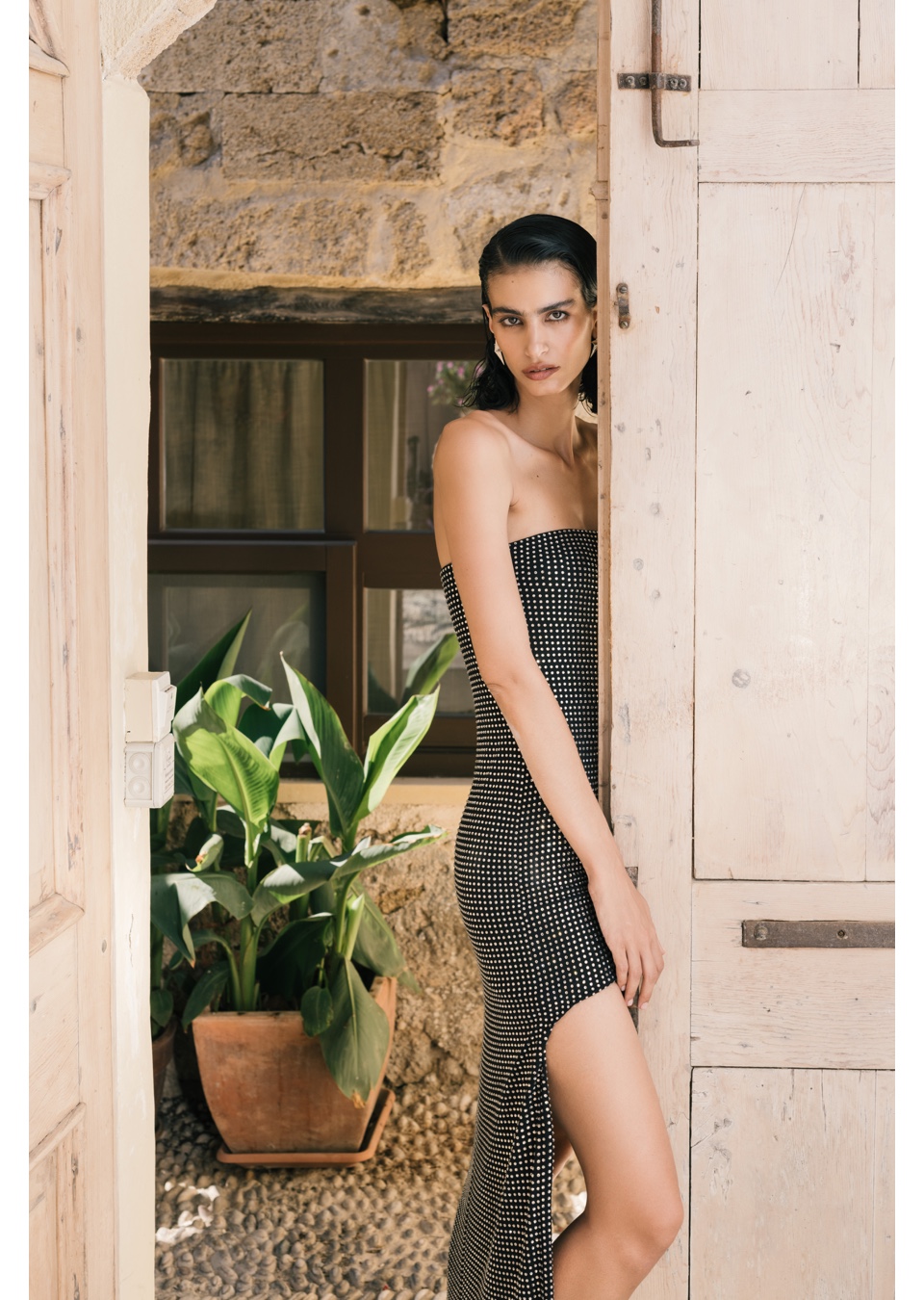 Model Image