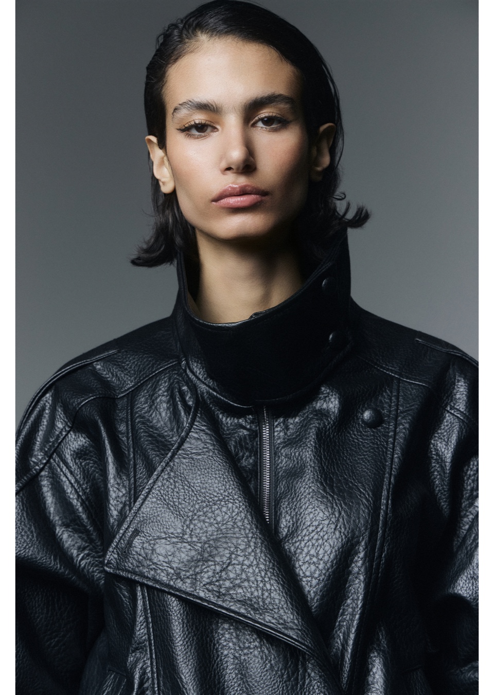 Model Image