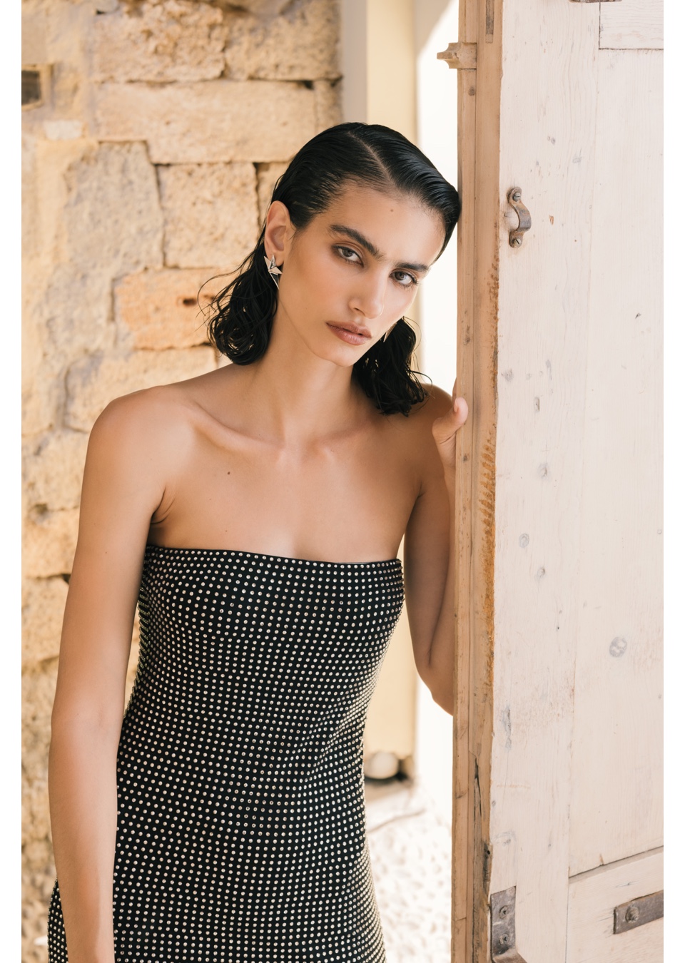 Model Image