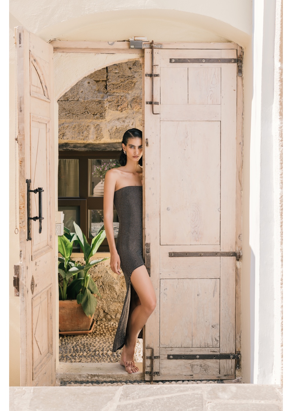 Model Image