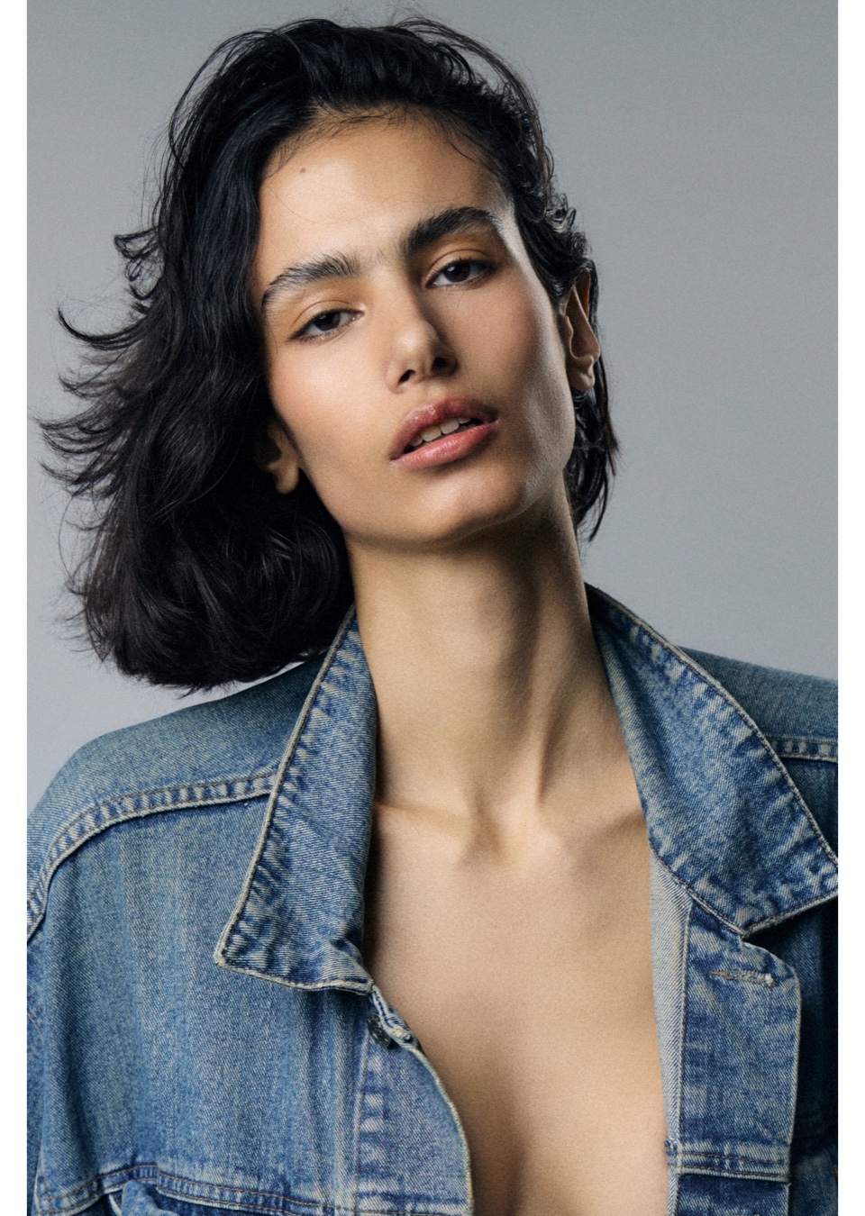 Model Image
