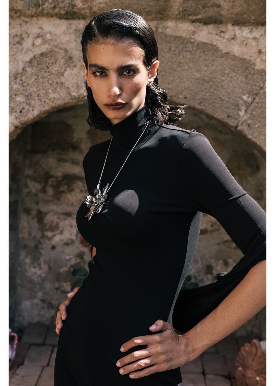 Model Image