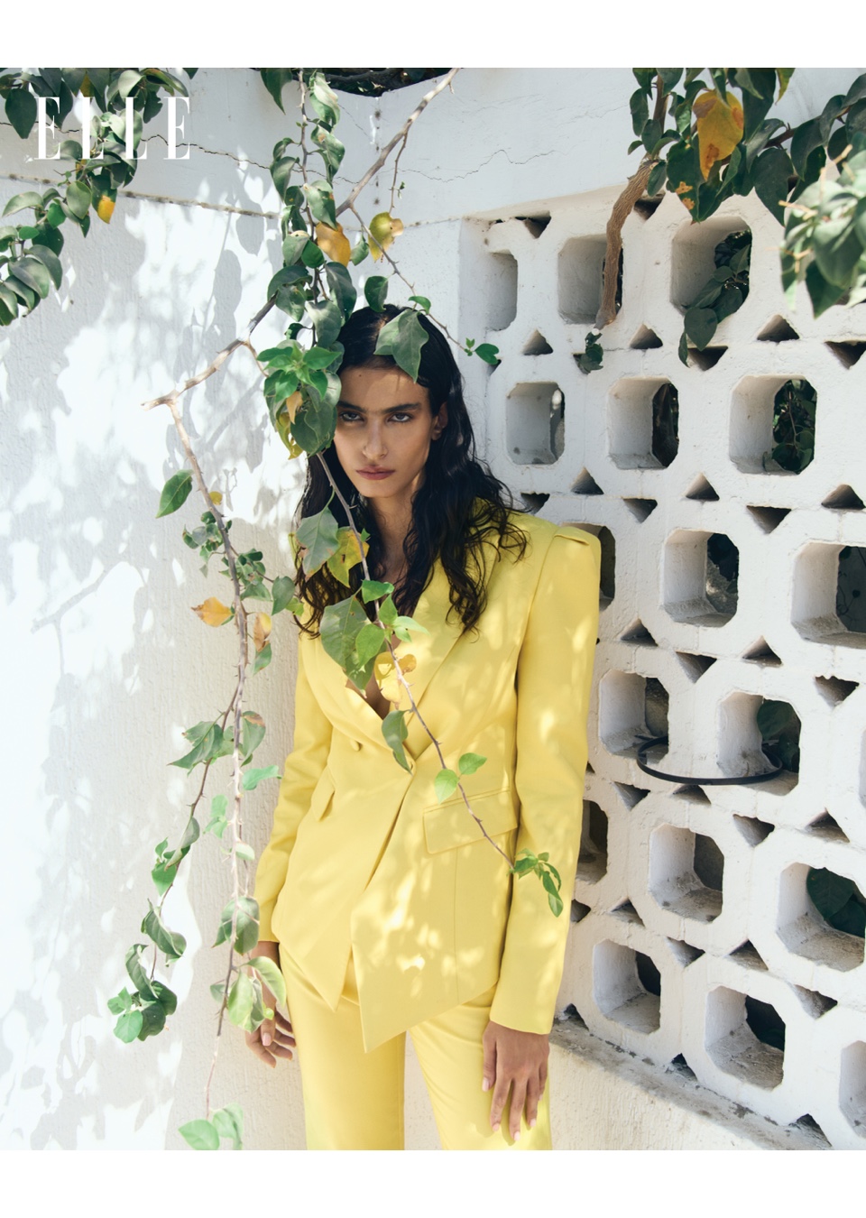 Model Image