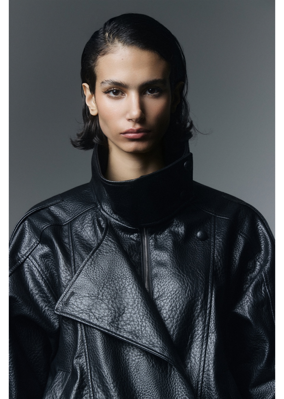 Model Image