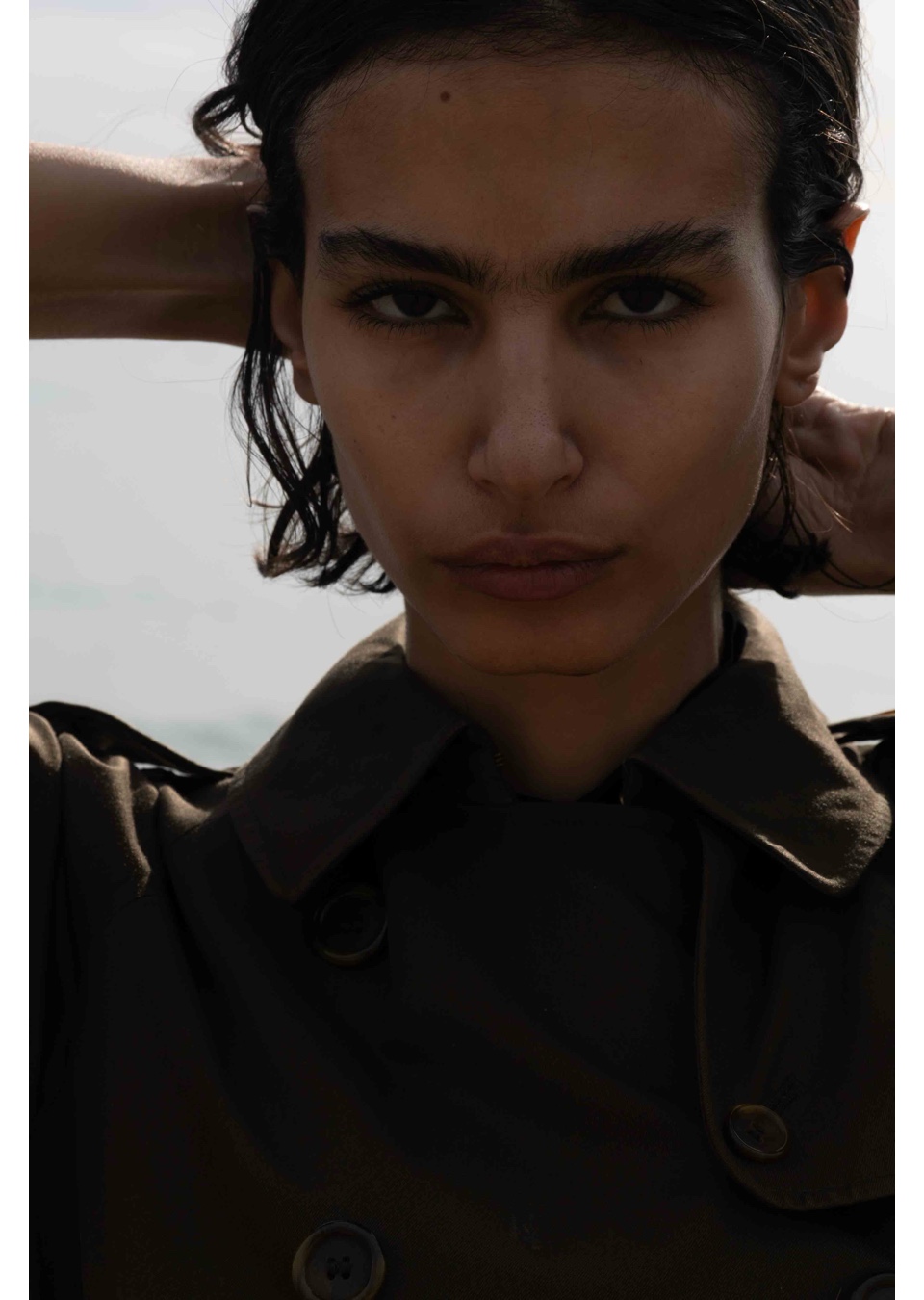 Model Image