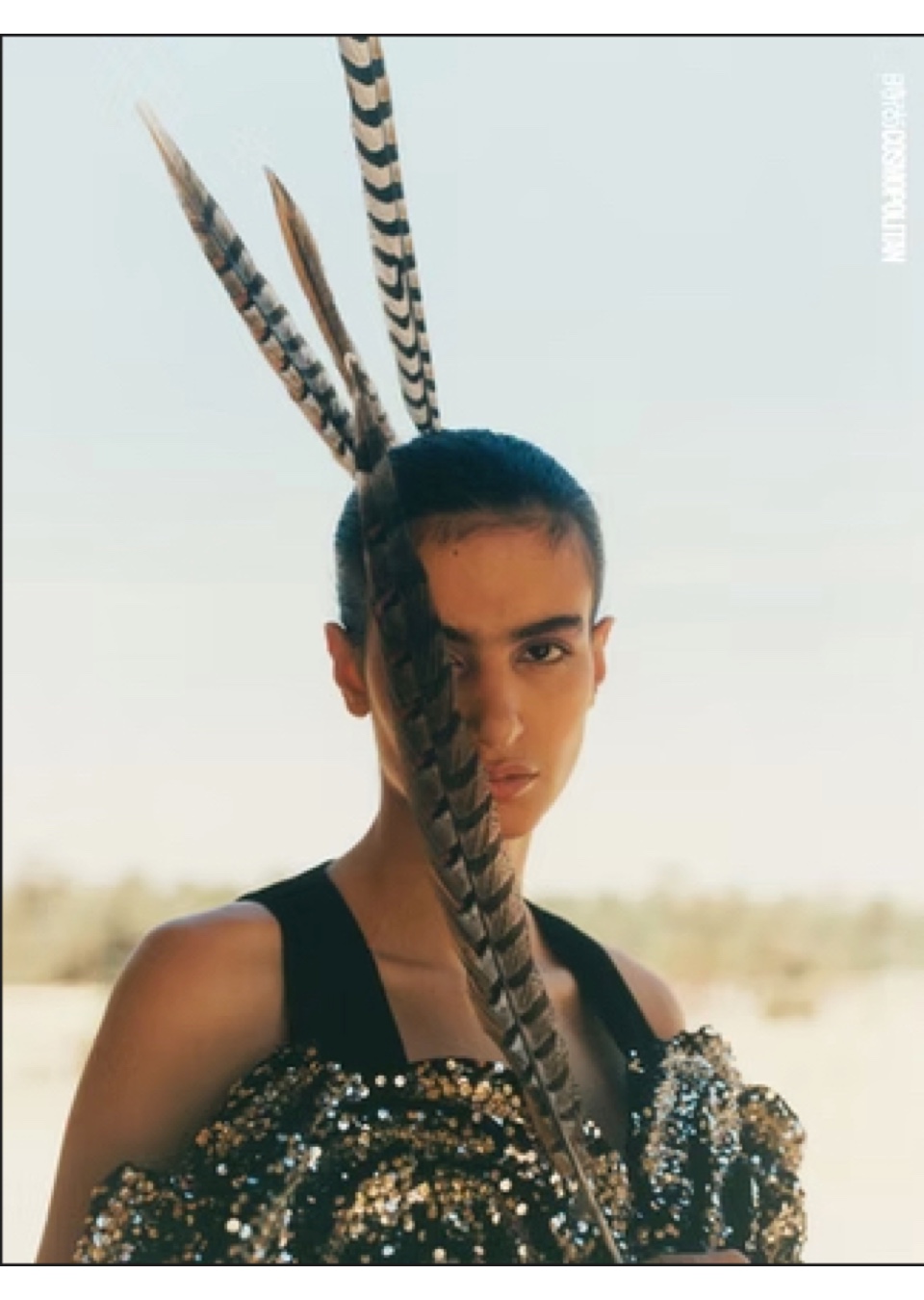 Model Image