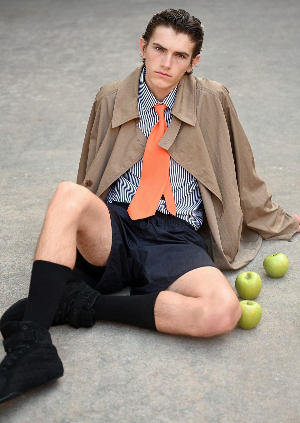 Model Image