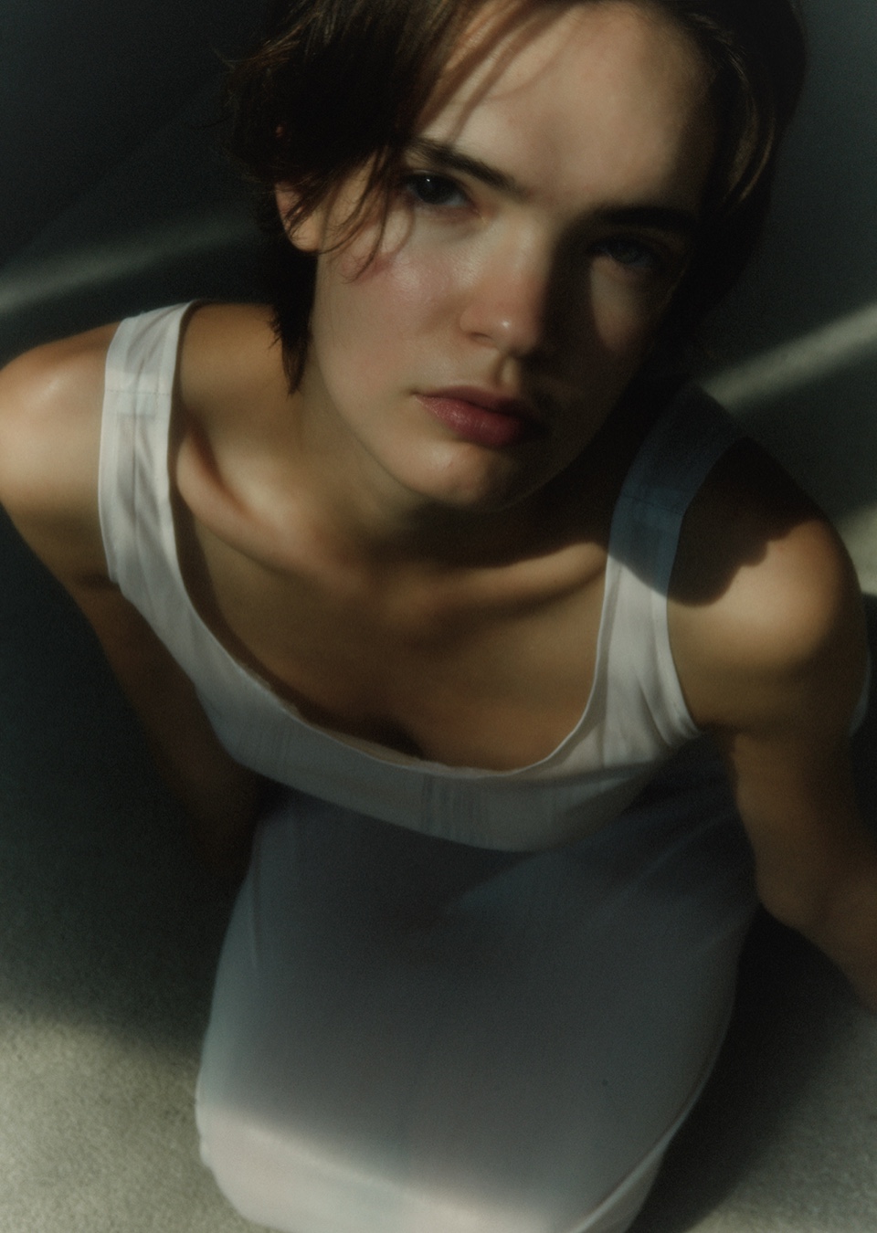 Model Image