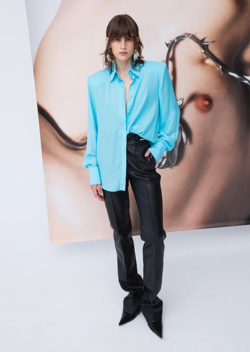 Model Image