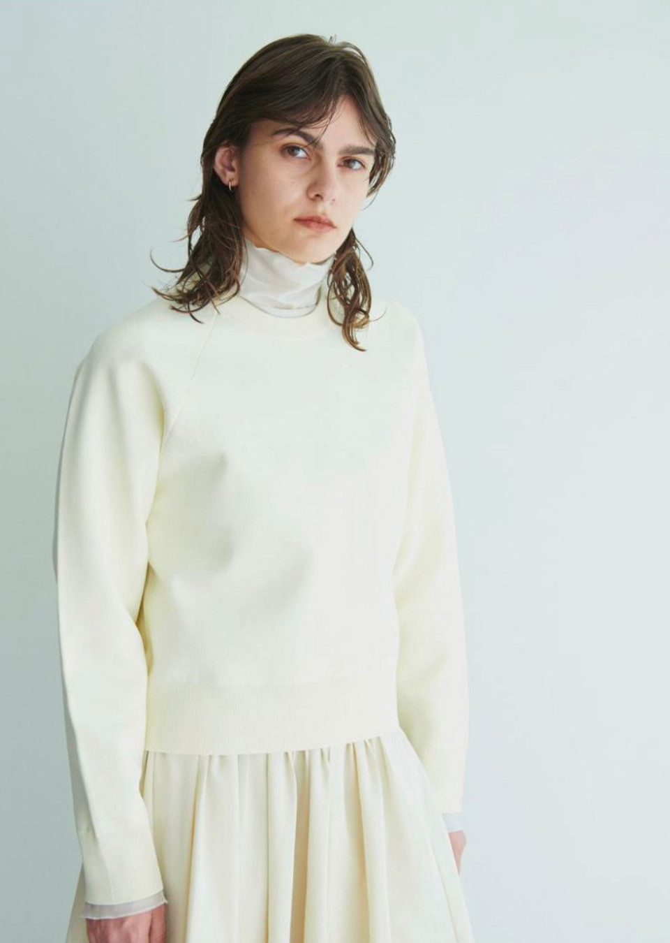 Model Image