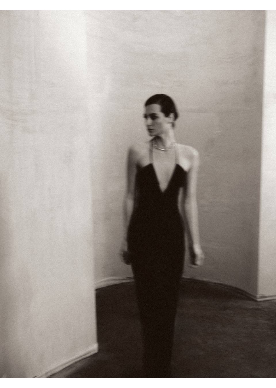 Model Image