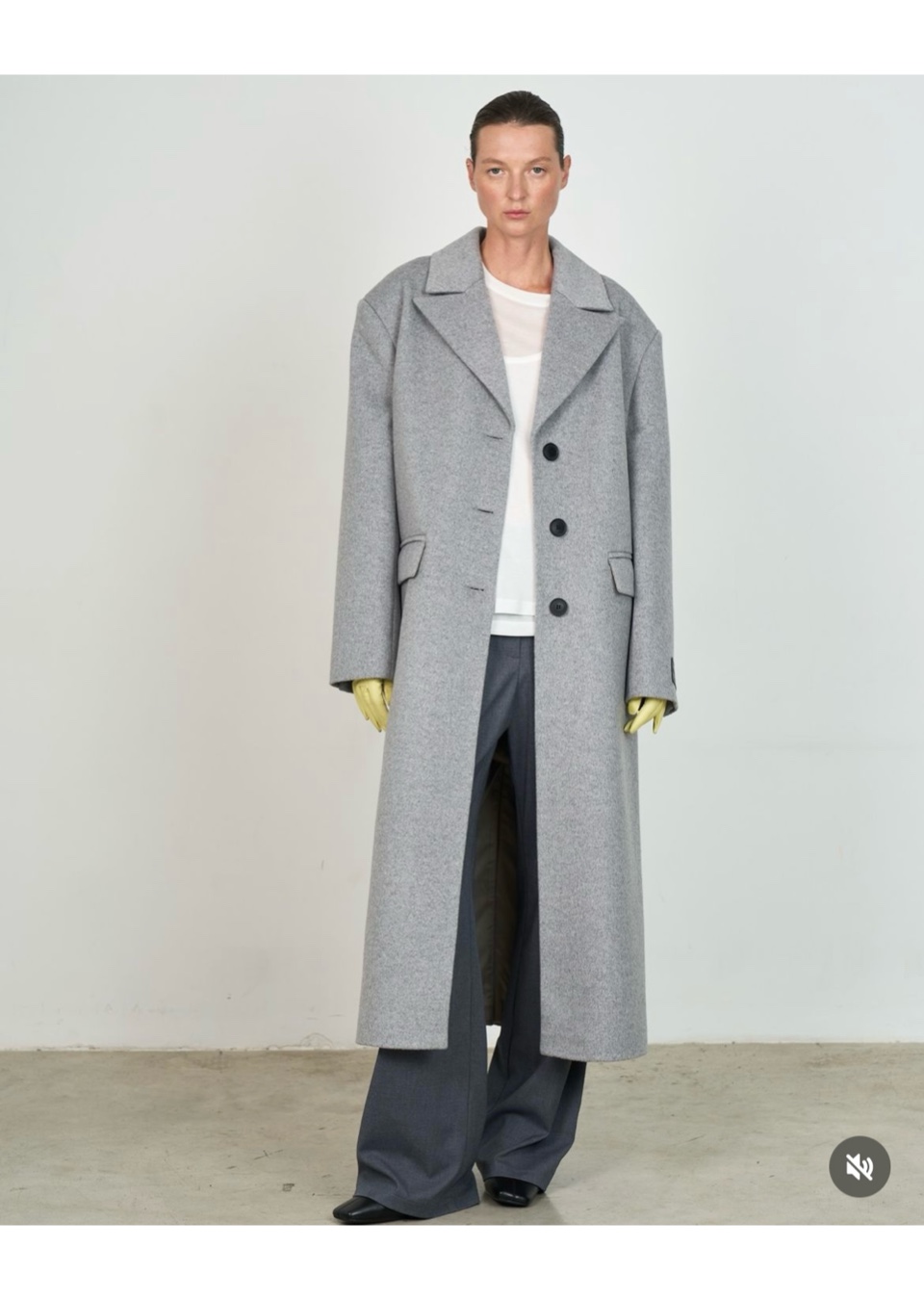 Model Image