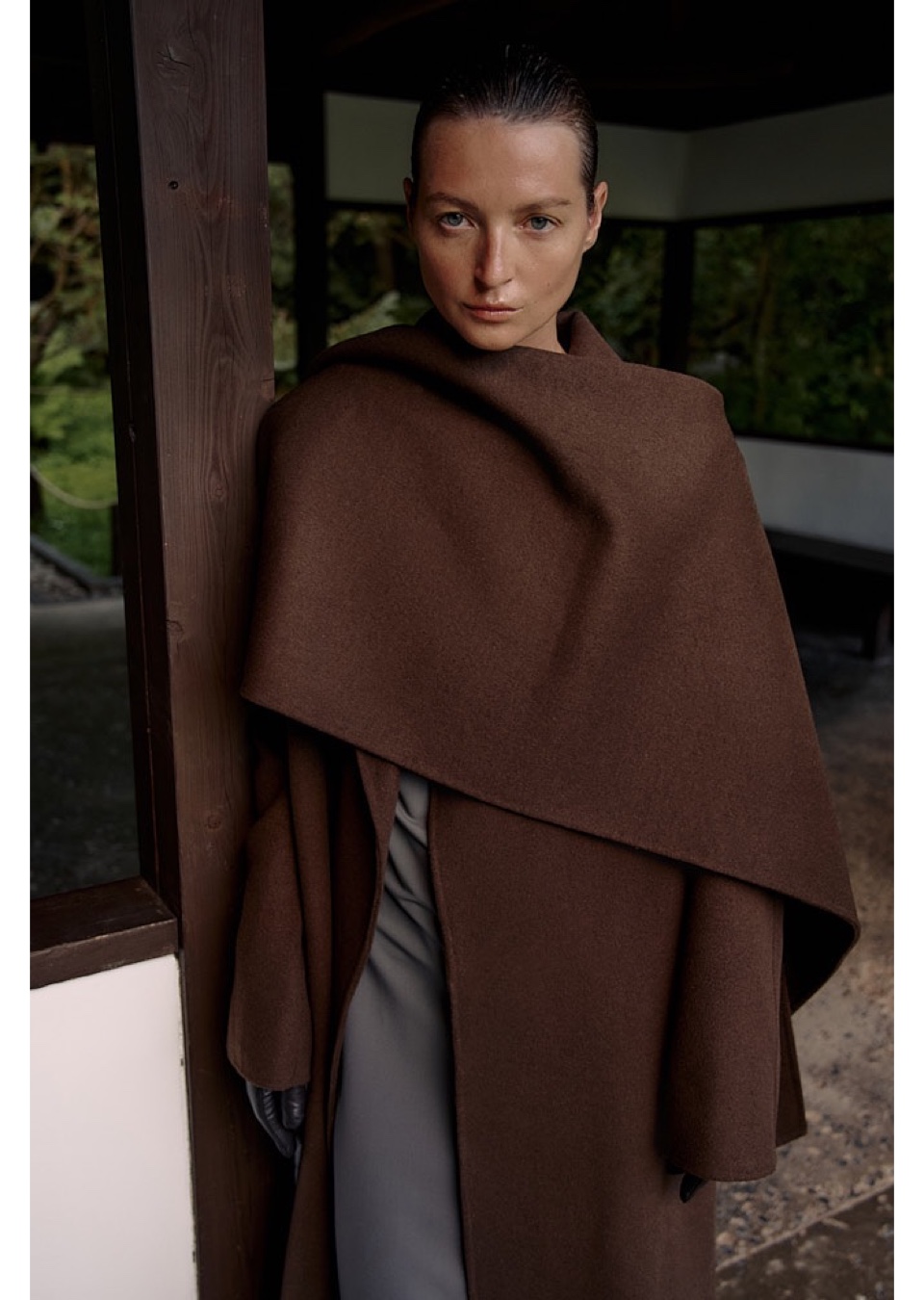 Model Image