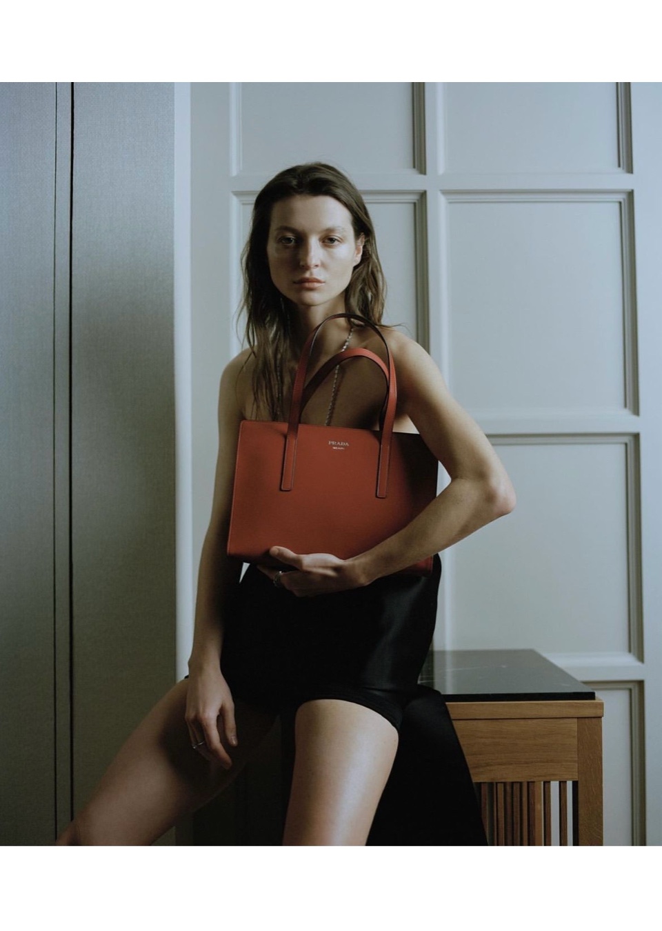 Model Image