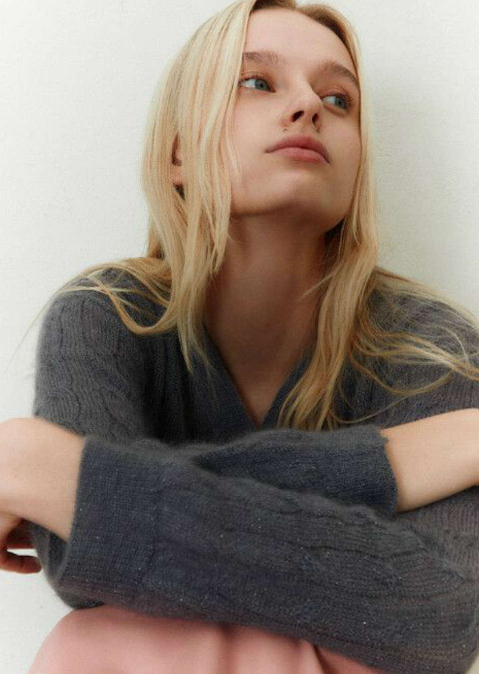 Model Image