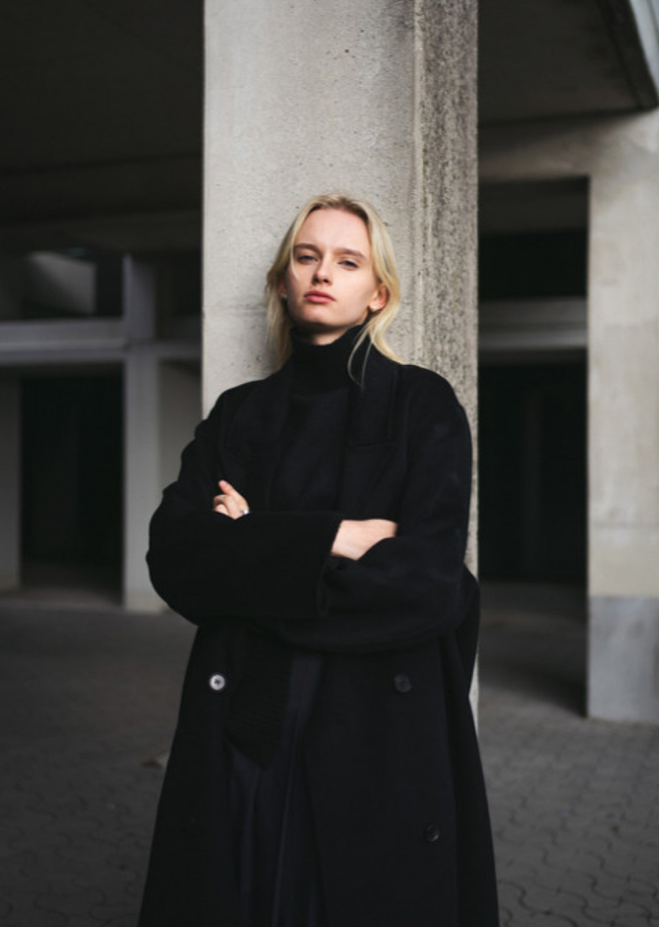 Model Image