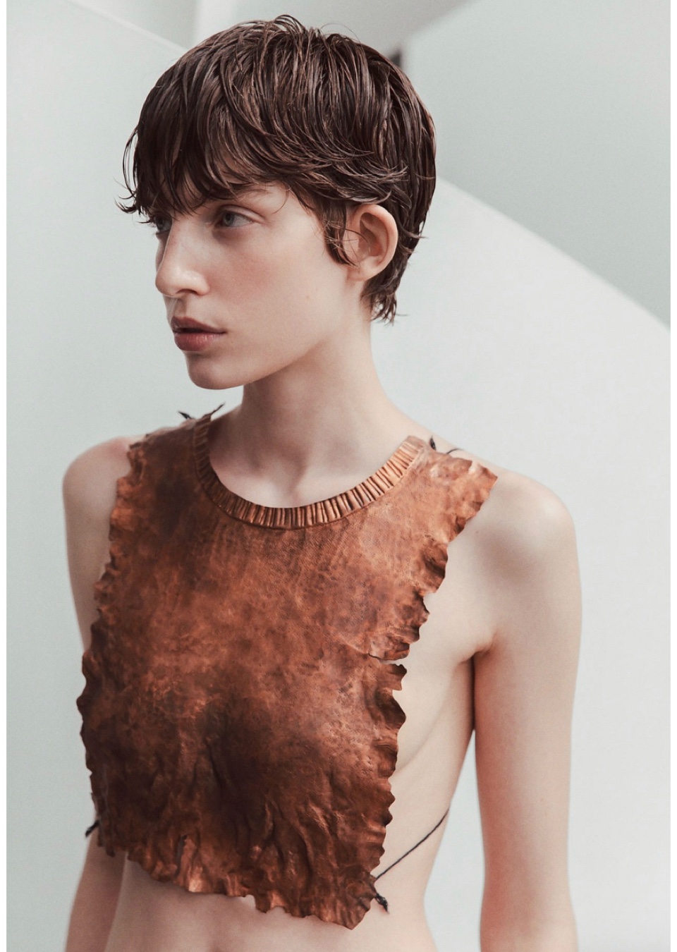 Model Image