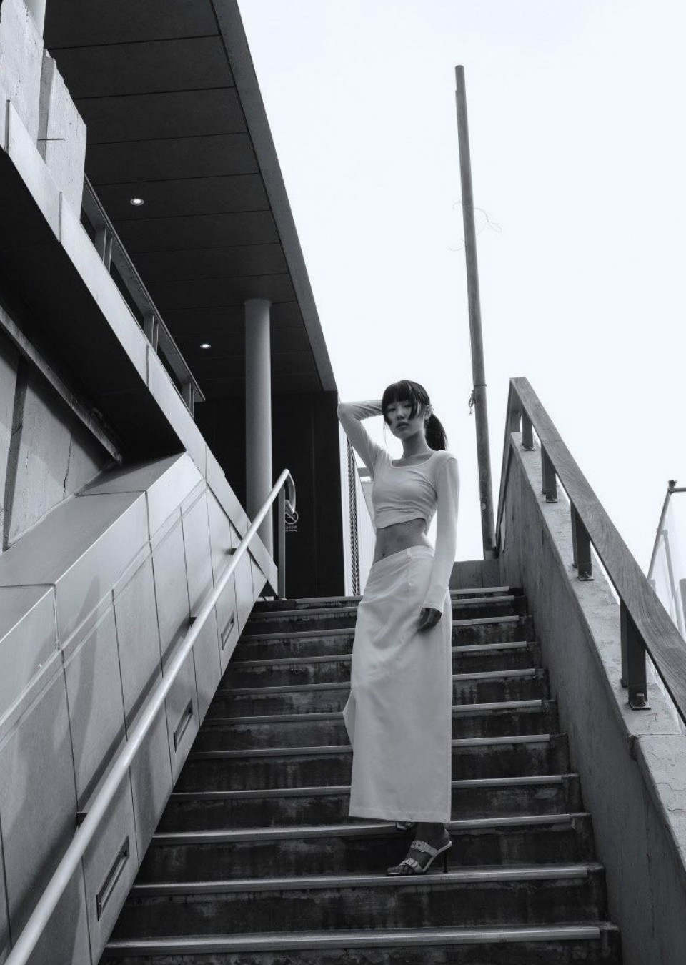 Model Image
