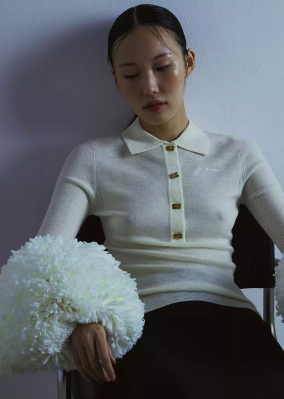 Model Image