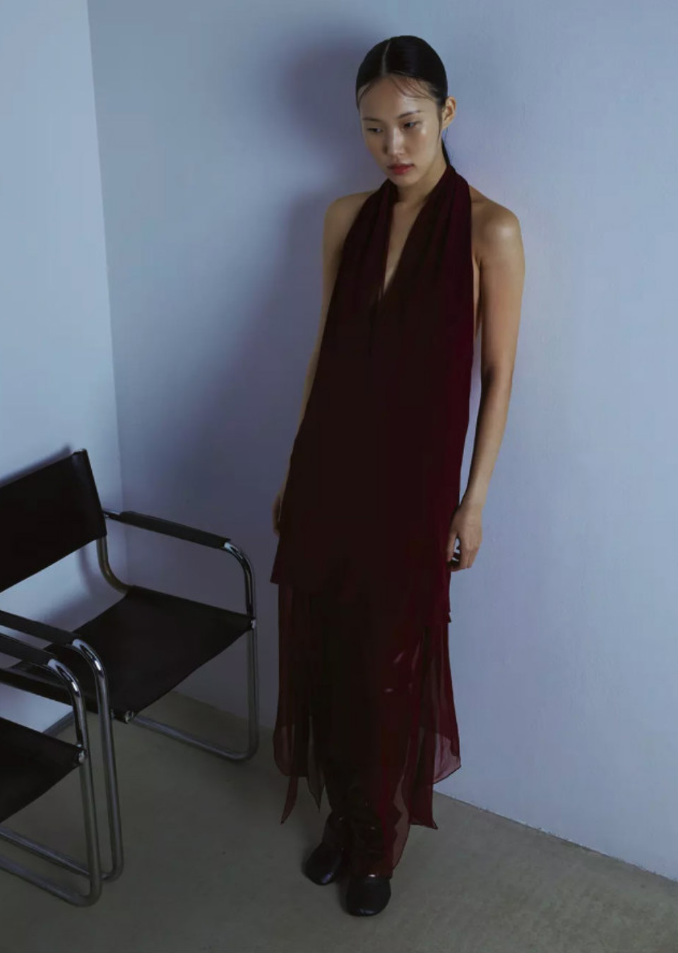 Model Image
