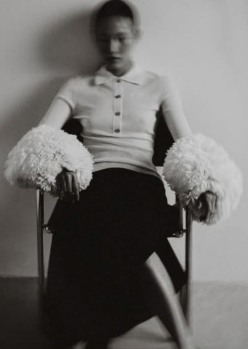 Model Image