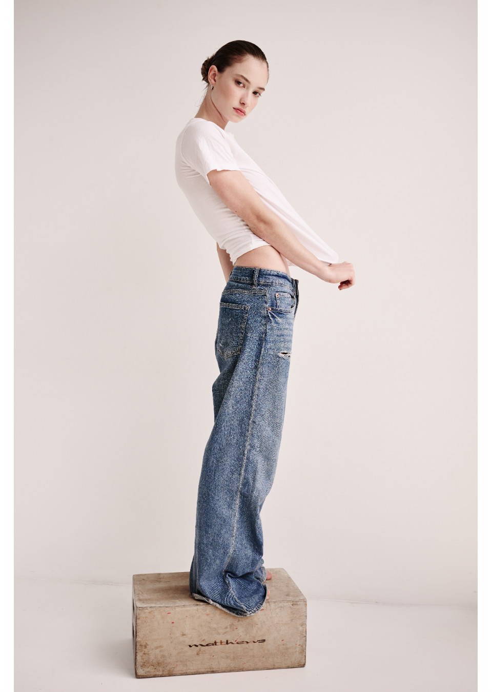 Model Image