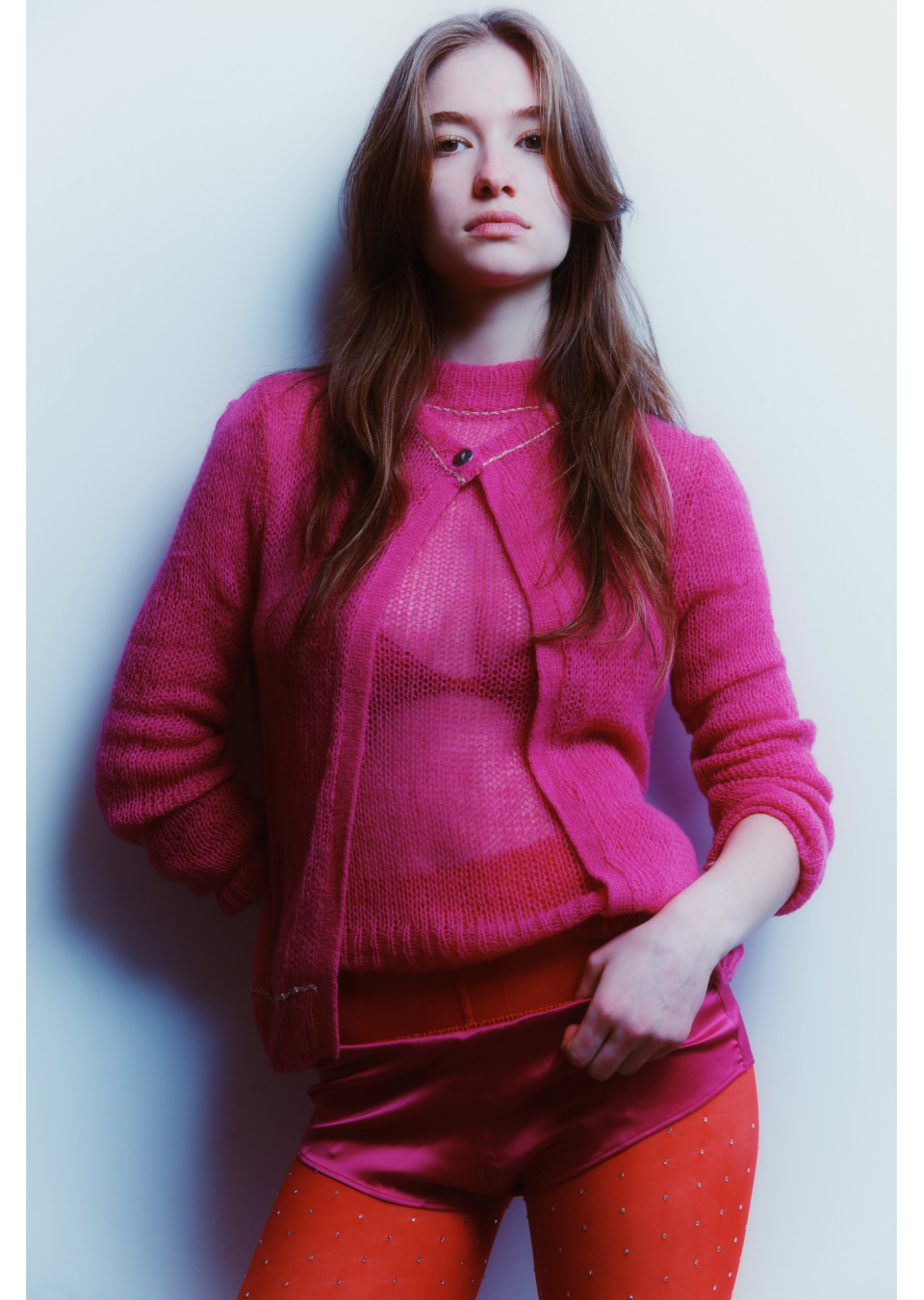 Model Image