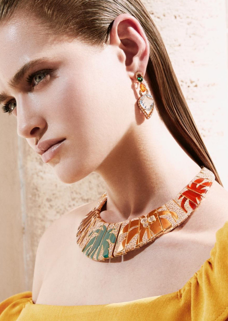 Model Image