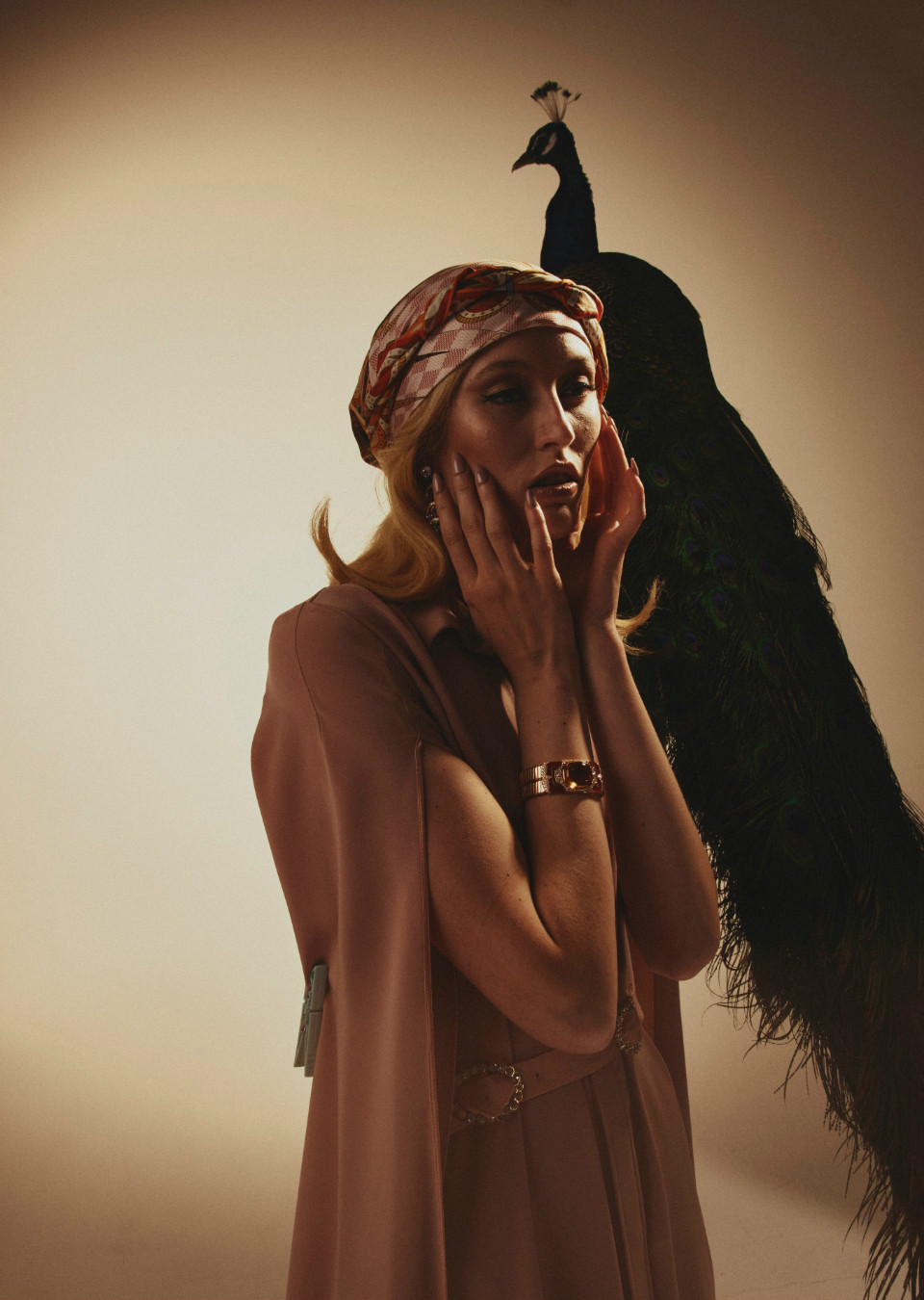 Model Image