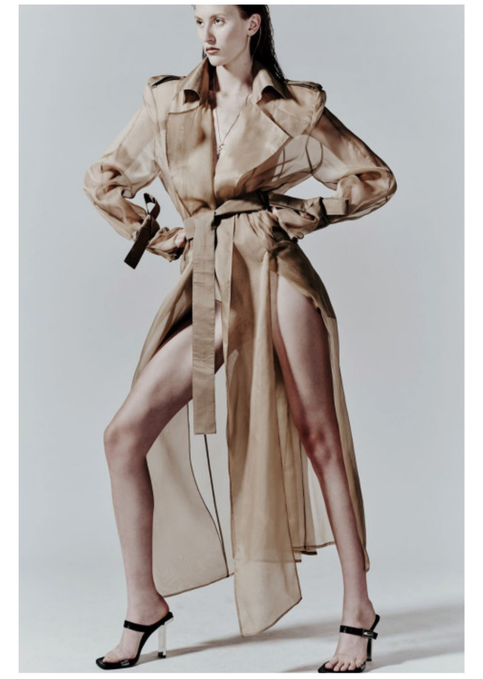 Model Image