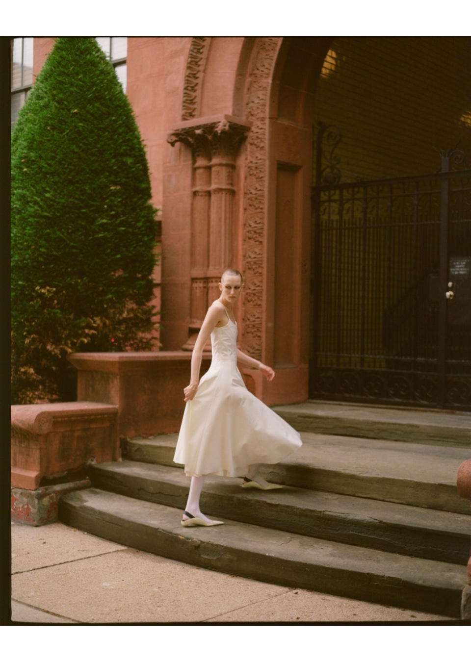 Model Image