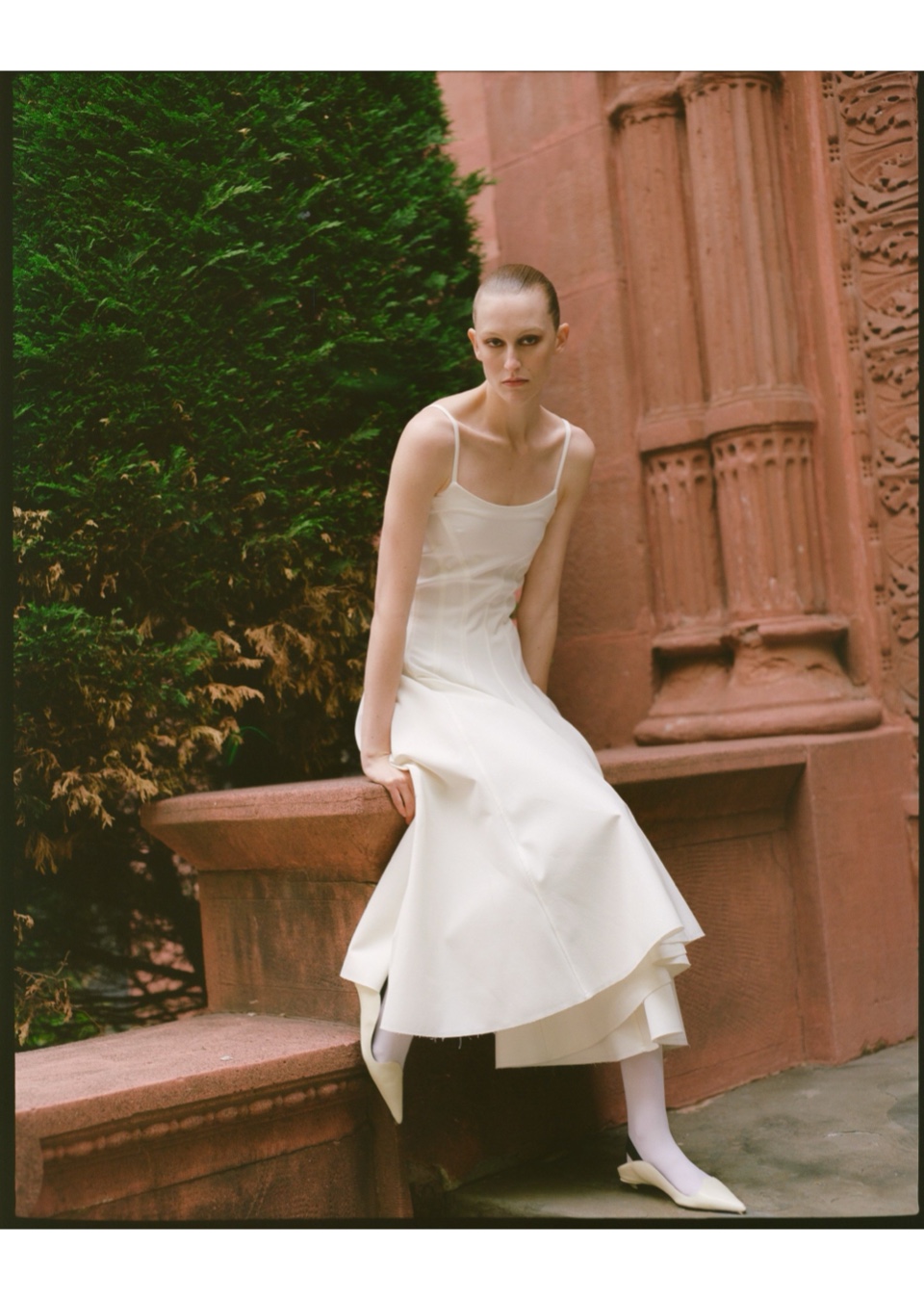 Model Image